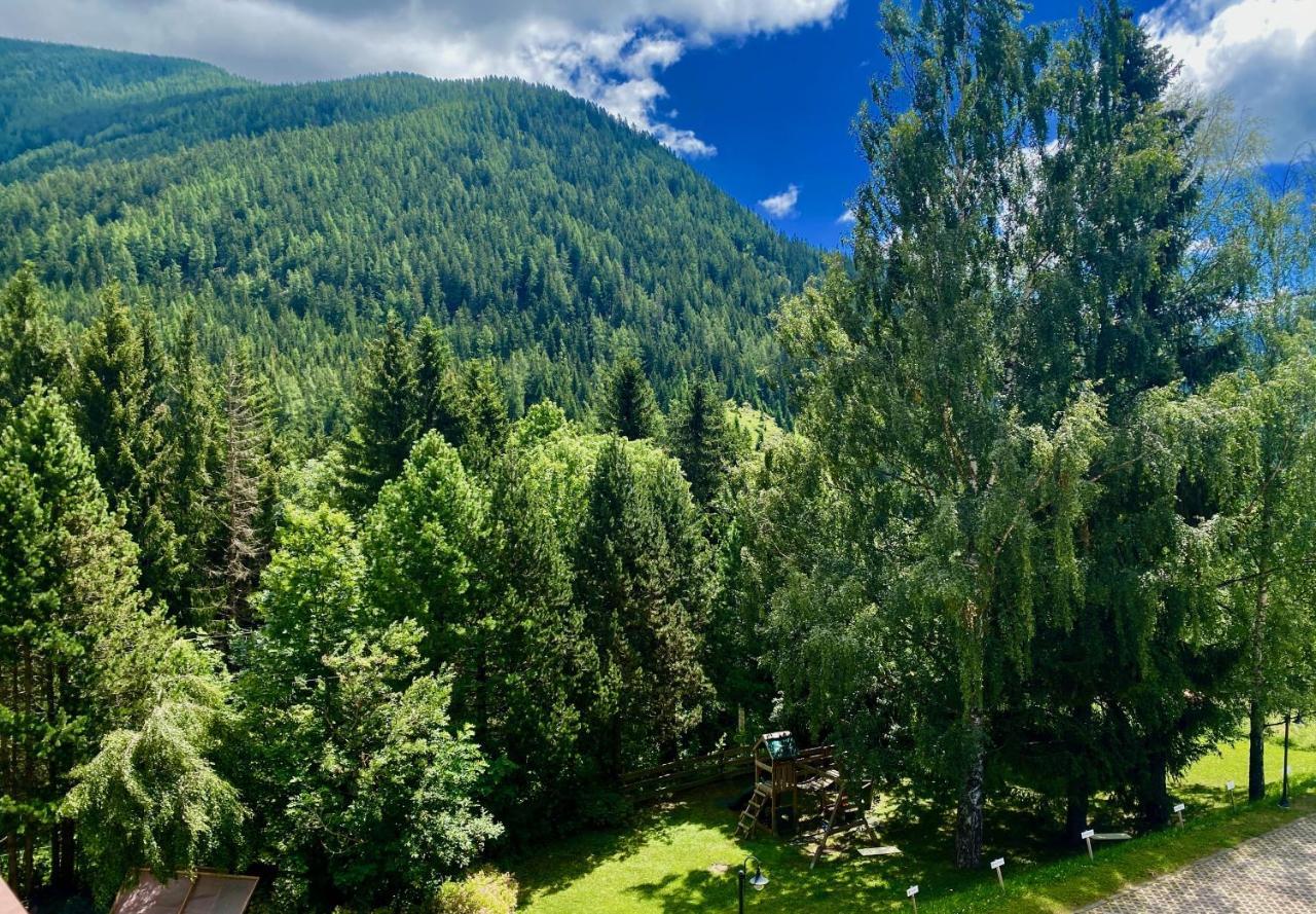 Panorama Rosie Design Chalet Bad Kleinkirchheim Dış mekan fotoğraf